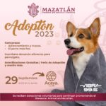 GOBIERNO DE MAZATLÁN REALIZARÁ UN GRAN EVENTO EN BENEFICIO DE LOS ANIMALES «ADOPTÓN 2023»