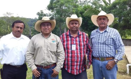 <strong>Imparten en Puerto Vallarta curso de capacitación a ganaderos</strong>