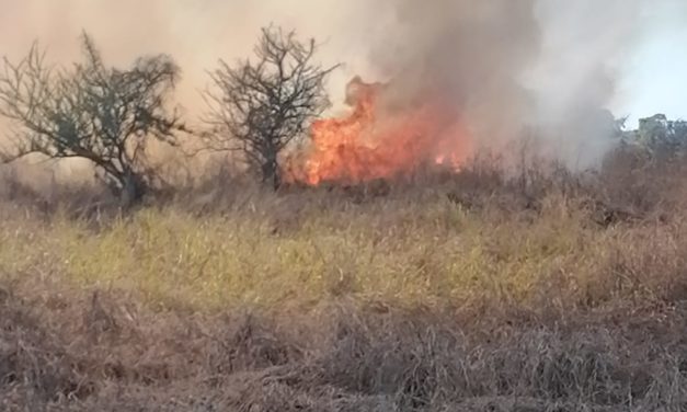 PROTECCIÓN CIVIL LLAMA A TOMAR MEDIDAS PARA EVITAR INCENDIOS FORESTALES.
