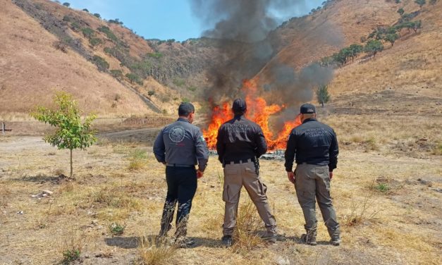 INCINERA FGR MÁS DE 131 KILOS DE NARCÓTICO ASEGURADO EN NAYARIT