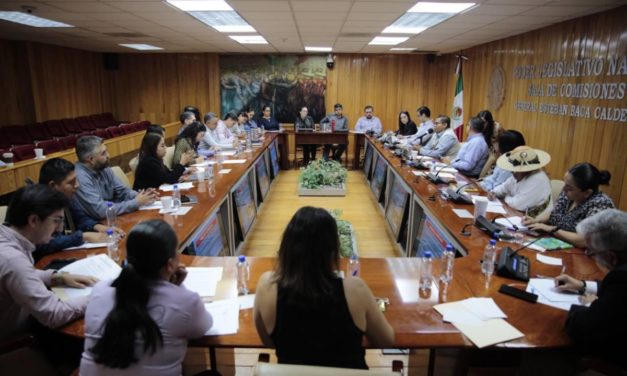 CUIDA CONGRESO LEGITIMIDAD DE CONSULTA A PUEBLOS ORIGINARIOS
