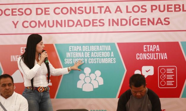 “CUIDARLOS, RESPETARLOS, ESCUCHARLOS Y SABER QUE PIENSAN”: DIPUTADA ALBA CRISTAL