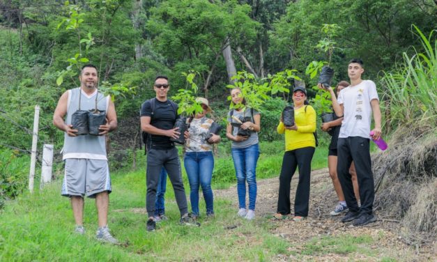 GOBIERNO DE TEPIC PLANTA OTROS 5 MIL ÁRBOLES EN EL CERRO DE SAN JUAN