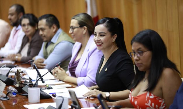“LAS VOCES DE LAS PERSONAS CON DISCAPACIDAD SERÁN ATENDIDAS”: DIPUTADA ALBA CRISTAL