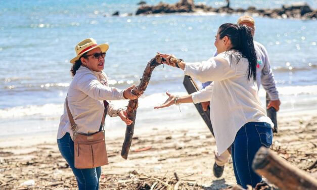 TRAS EL PASO DE LIDIA, GOBIERNO DE BAHÍA DE BANDERAS REALIZA LIMPIEZA DE PLAYAS