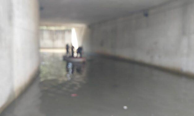 BOMBEROS DE NAYARIT ATIENDEN EL REPORTE DE AVISTAMIENTO DE COCODRILO EN EL MUNICIPIO DE BAHÍA DE BANDERAS