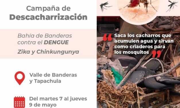 Inicia la campaña de descacharrización