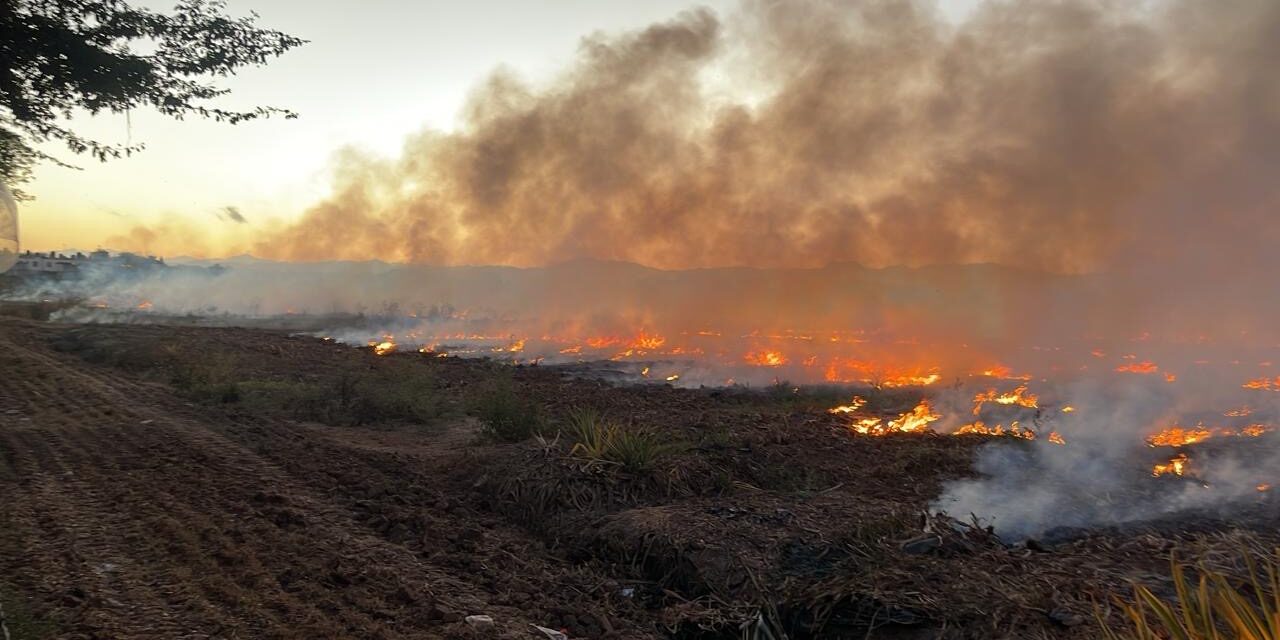 EMITE PROTECCIÓN CIVIL DE BAHÍA DE BANDERAS RECOMENDACIONES PARA EVITAR INCENDIOS FORESTALES