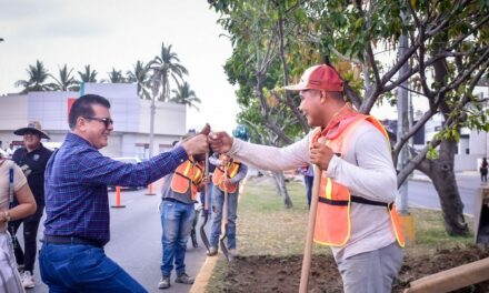 Supervisa Alcalde obra de rehabilitación de camellón en avenida Reforma