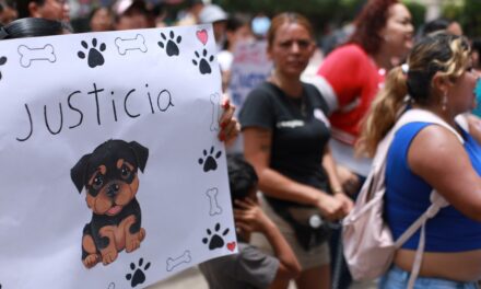 Gobierno de Tepic es animalista; apoya caso de justicia para perrito fallecido
