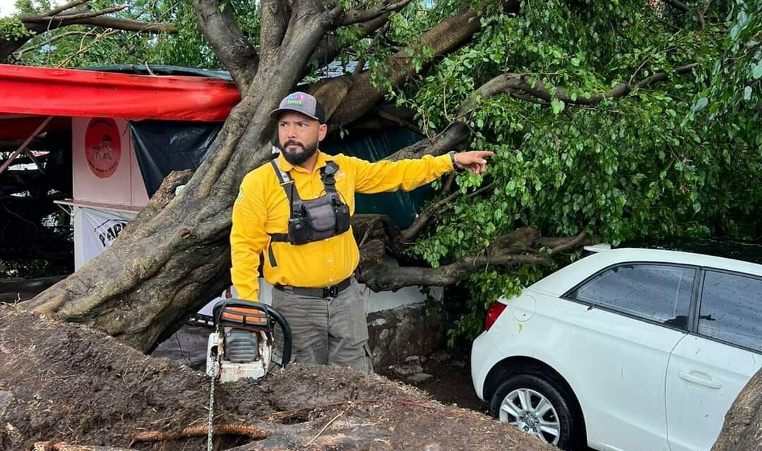 Reacción Inmediata del Gobierno de Tepic en esta Temporada de Lluvias