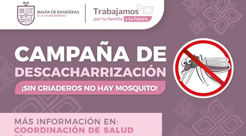 Continúa campaña de descacharrización contra el mosquito en Bahía de Banderas