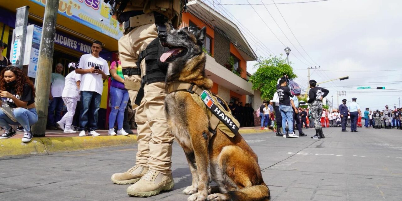 Con profundo pesar la Fiscalía General de Nayarit informa el fallecimiento de Hanss, una valiosa elemento de nuestra Unidad K-9, adscrita a la Agencia de Investigación Criminal.