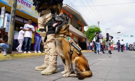 Con profundo pesar la Fiscalía General de Nayarit informa el fallecimiento de Hanss, una valiosa elemento de nuestra Unidad K-9, adscrita a la Agencia de Investigación Criminal.