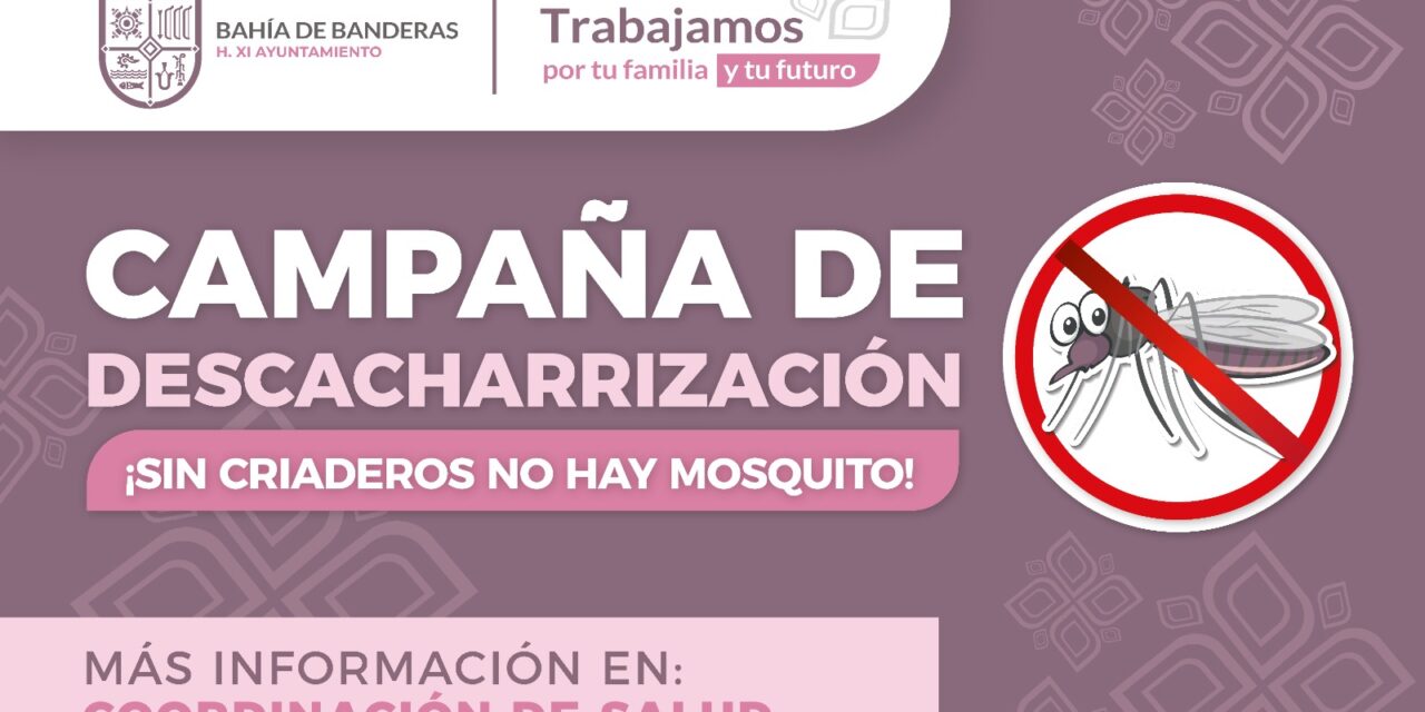 Continúa campaña de descacharrización contra el mosquito en Bahía de Banderas