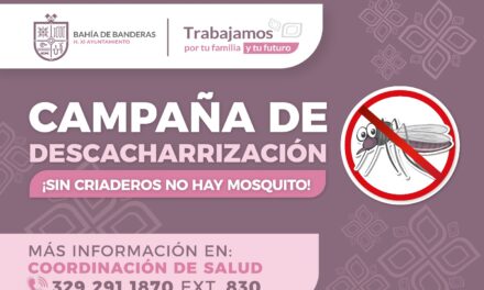 Continúa campaña de descacharrización contra el mosquito en Bahía de Banderas