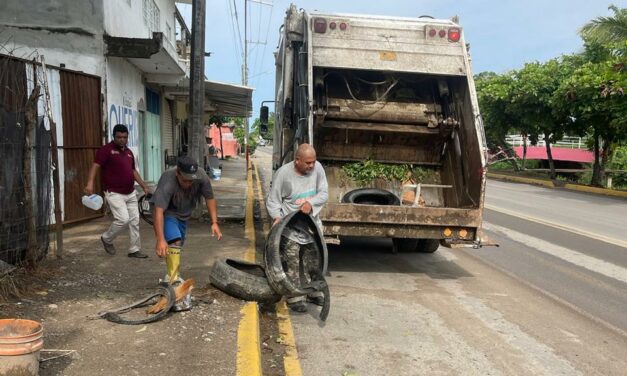 EL XI AYUNTAMIENTO CONTINÚA TRABAJANDO A MARCHAS FORZADAS EN LA ERRADICACIÓN DEL MOSQUITO CAUSANTE DEL DENGUE