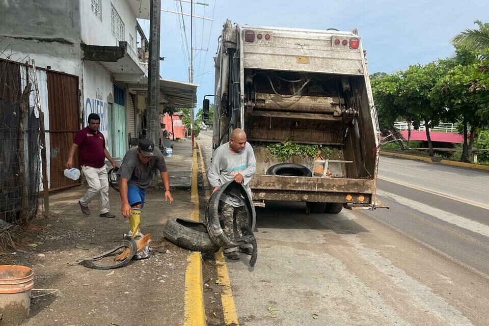 EL XI AYUNTAMIENTO CONTINÚA TRABAJANDO A MARCHAS FORZADAS EN LA ERRADICACIÓN DEL MOSQUITO CAUSANTE DEL DENGUE