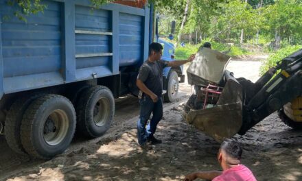 EN BREVE REINICIARÁN JORNADAS DE FUMIGACIÓN CONTRA EL MOSQUITO DEL DENGUE EN BAHÍA DE BANDERAS