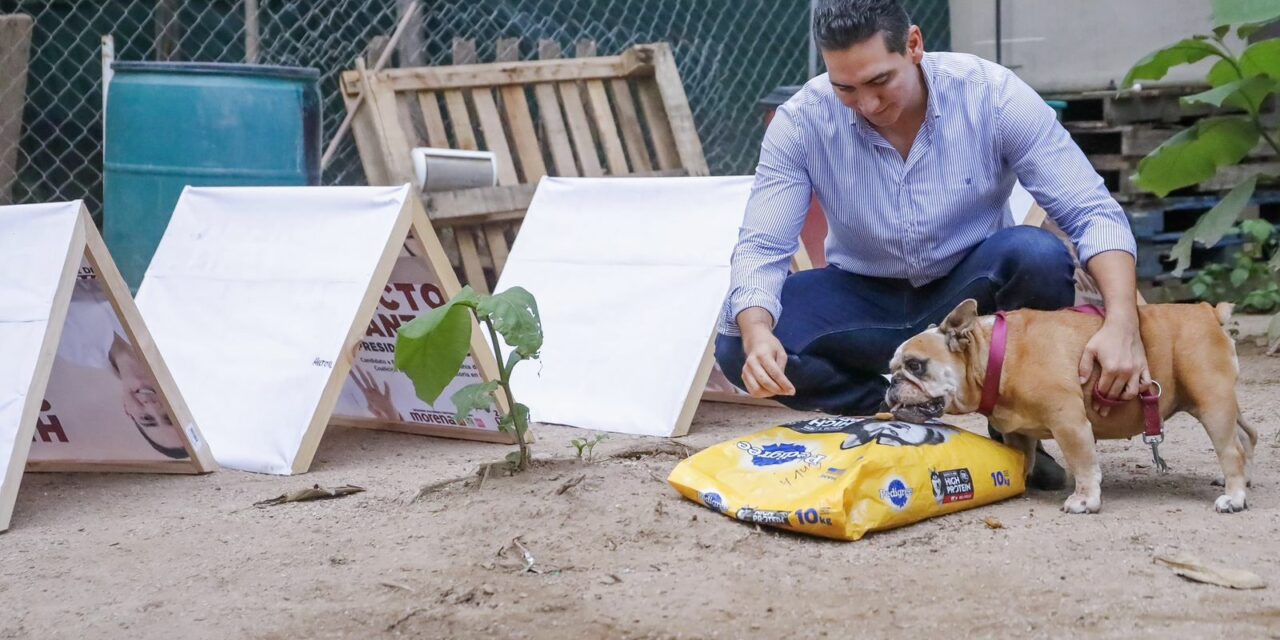 CONVIERTE HÉCTOR SANTANA PROPAGANDA EN CASITAS PARA MASCOTAS EN BAHÍA DE BANDERAS