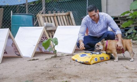 CONVIERTE HÉCTOR SANTANA PROPAGANDA EN CASITAS PARA MASCOTAS EN BAHÍA DE BANDERAS