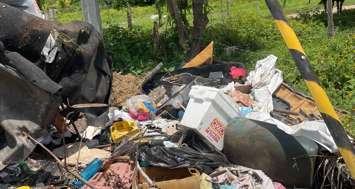 Continúa la lucha contra el dengue en Bahía de Banderas