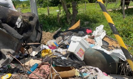 Continúa la lucha contra el dengue en Bahía de Banderas