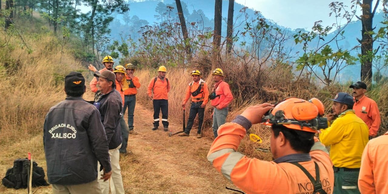 Más de 110 brigadistas combaten incendio forestal