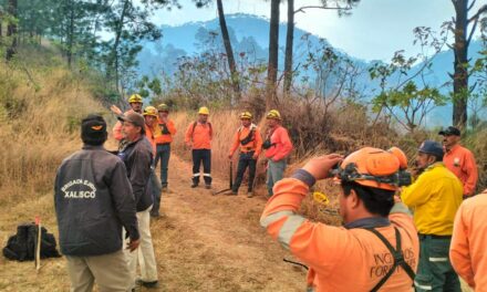 Más de 110 brigadistas combaten incendio forestal