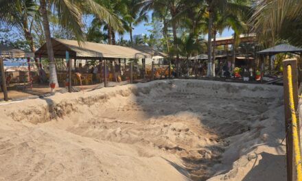 Gobierno de Munguía se prepara para la temporada de anidación de tortugas marinas