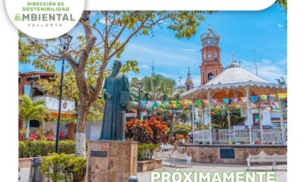 “ÁRBOLES DE PLAZA EN PLAZA” VERDECE VALLARTA