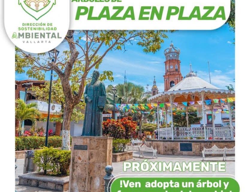 “ÁRBOLES DE PLAZA EN PLAZA” VERDECE VALLARTA