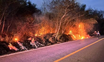 BOMBEROS DE NAYARIT SOFOCAN DOS INCENDIOS FORESTALES EN SAN BLAS Y ACAPONETA
