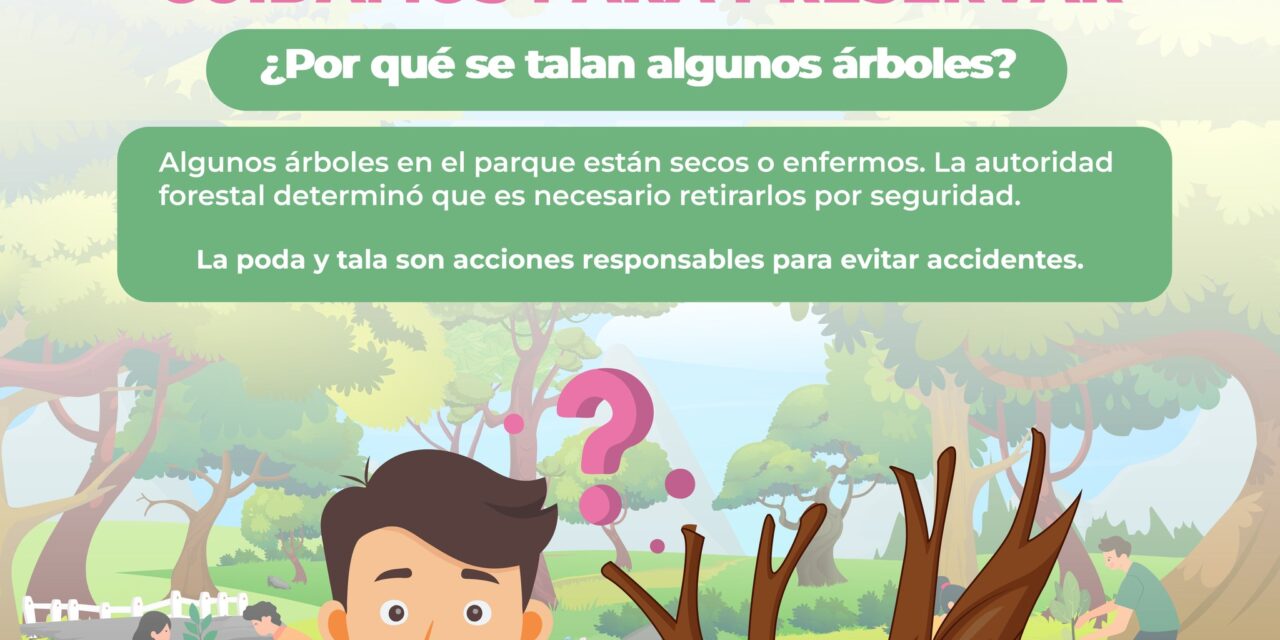 EN DIF NAYARIT PROTEGEMOS TU BIENESTAR Y EL ENTORNO NATURAL