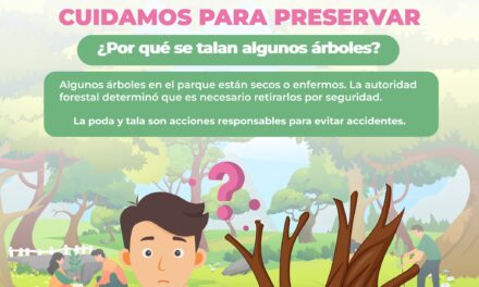 EN DIF NAYARIT PROTEGEMOS TU BIENESTAR Y EL ENTORNO NATURAL