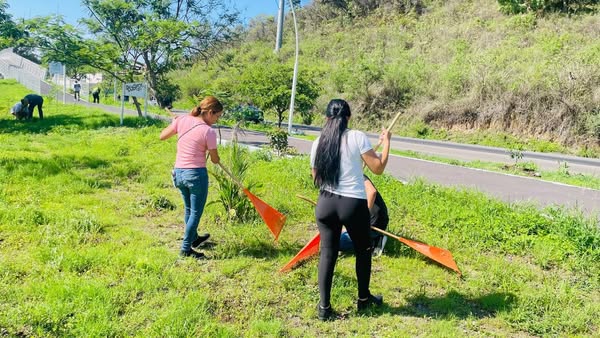🚧🚜 AVANZA ADOQUINAMIENTO EN FELIPE CARRILLO PUERTO