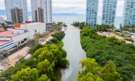 SEAPAL, ALIADO DEL MEDIO AMBIENTE
