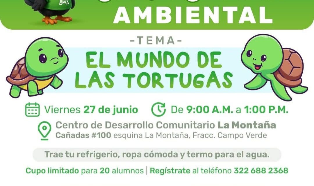 Descubre el mundo de las tortugas en la 3ra edición del ChiquiConsejo Ambiental