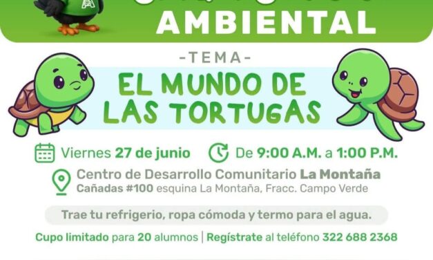 Descubre el mundo de las tortugas en la 3ra edición del ChiquiConsejo Ambiental