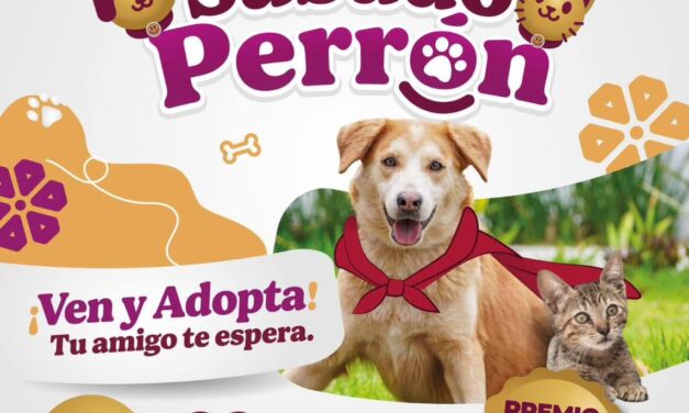 ¡ADOPTA, DISFRÁZATE Y DIVIÉRTETE ESTE 28 DE JUNIO!