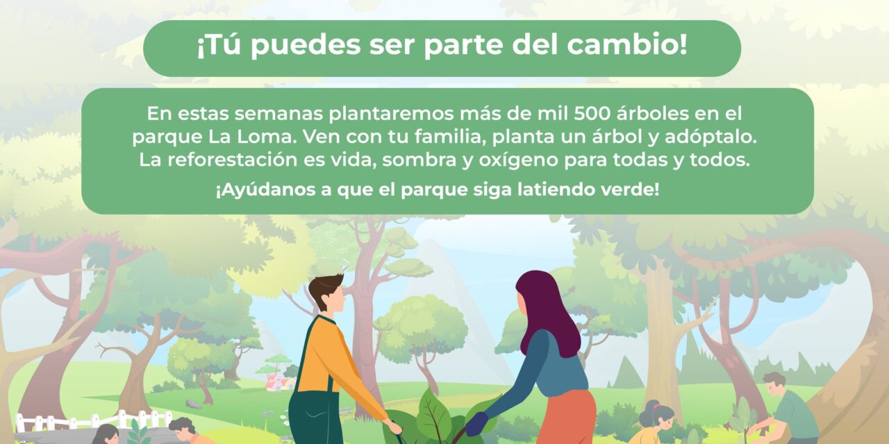 PLANTAR UN ÁRBOL ES DAR VIDA
