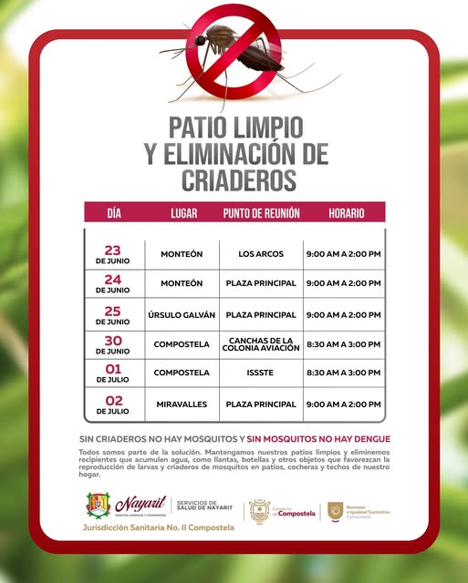 TODOS CONTRA EL DENGUE