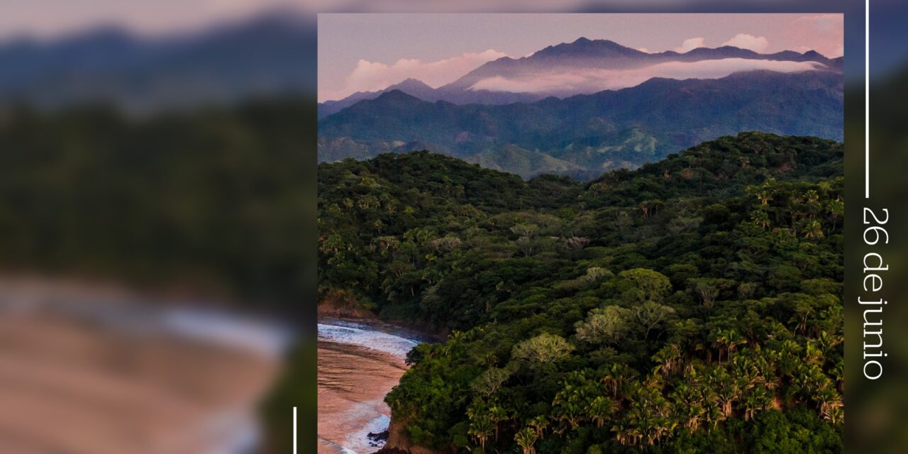 ¡NAYARIT LATE AL RITMO DE SUS BOSQUES TROPICALES!