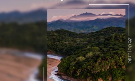 ¡NAYARIT LATE AL RITMO DE SUS BOSQUES TROPICALES!