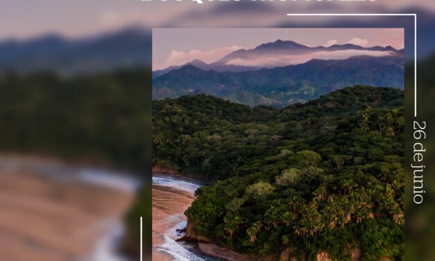 ¡NAYARIT LATE AL RITMO DE SUS BOSQUES TROPICALES!