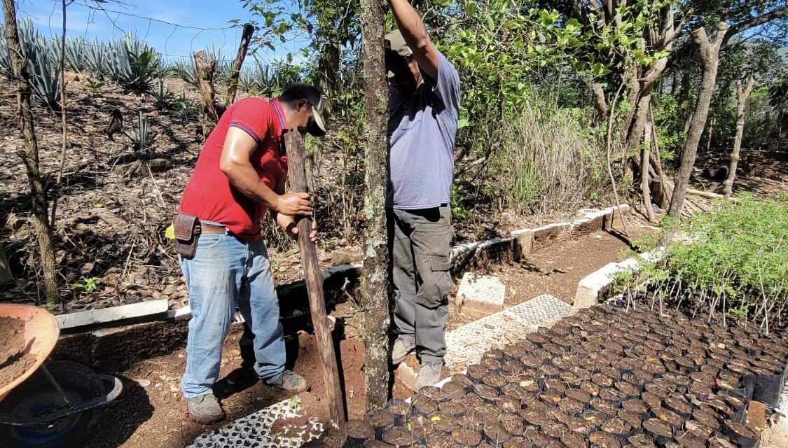 LA BRIGADA SIGUE SEMBRANDO VIDA EN EL VIVERO MUNICIPAL