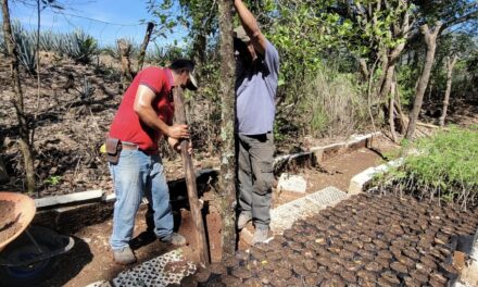 LA BRIGADA SIGUE SEMBRANDO VIDA EN EL VIVERO MUNICIPAL
