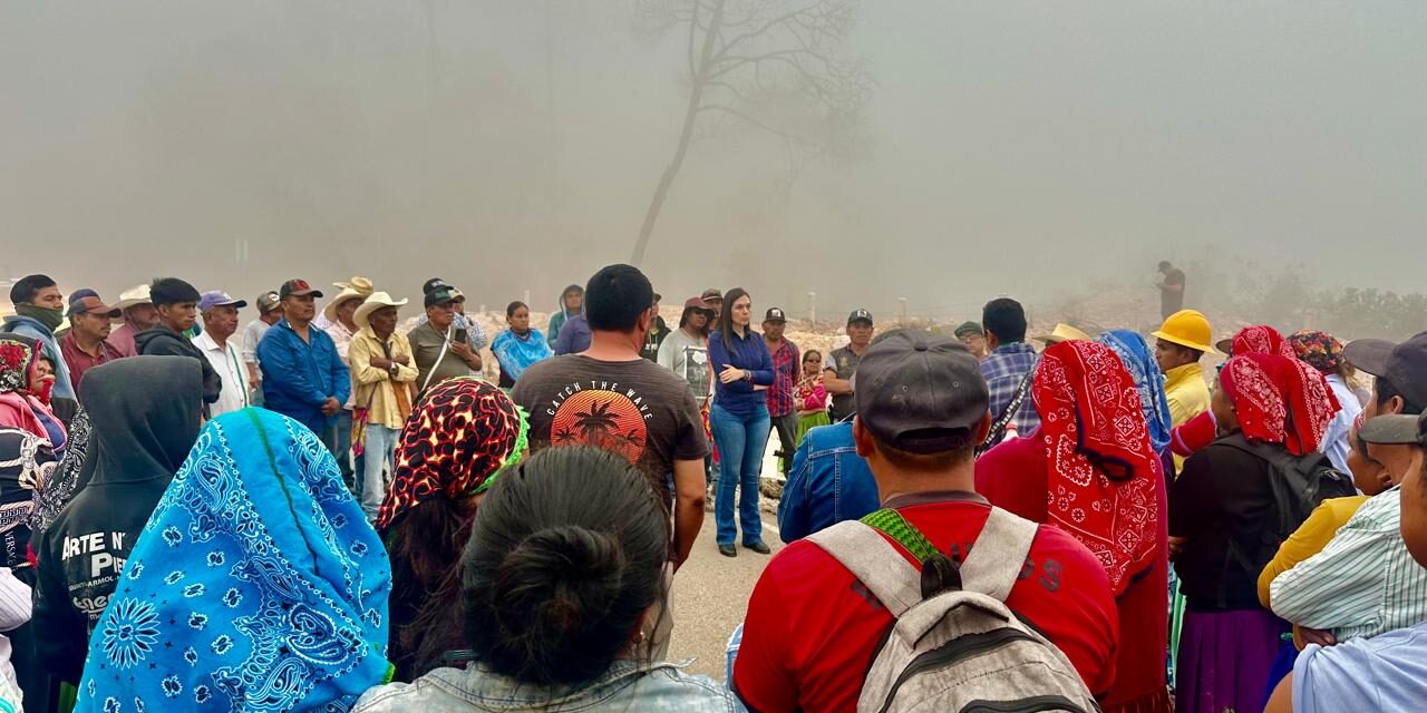 Rosy Reyes tiende puentes con manifestantes contra tala de árboles