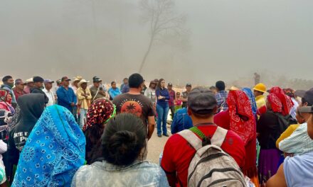 Rosy Reyes tiende puentes con manifestantes contra tala de árboles