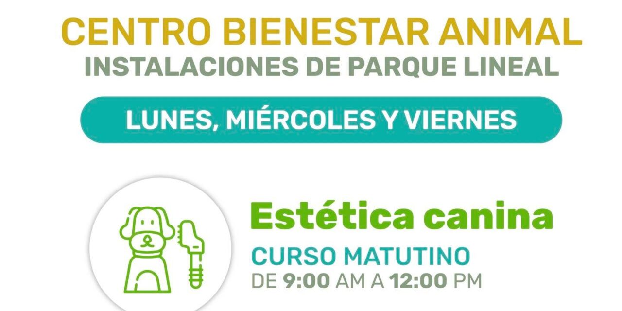 «Renacemos Juntos»: talleres para aprender, emprender y transformar tu vida